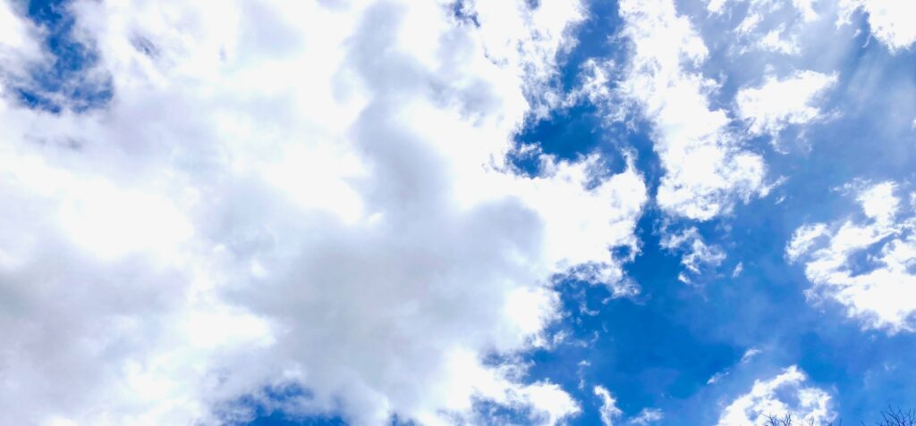 Contribute to Screen Less Play More, write a guest blog, send us your guest post, we are looking for parenting experts, and parents who care about healthy tech use.