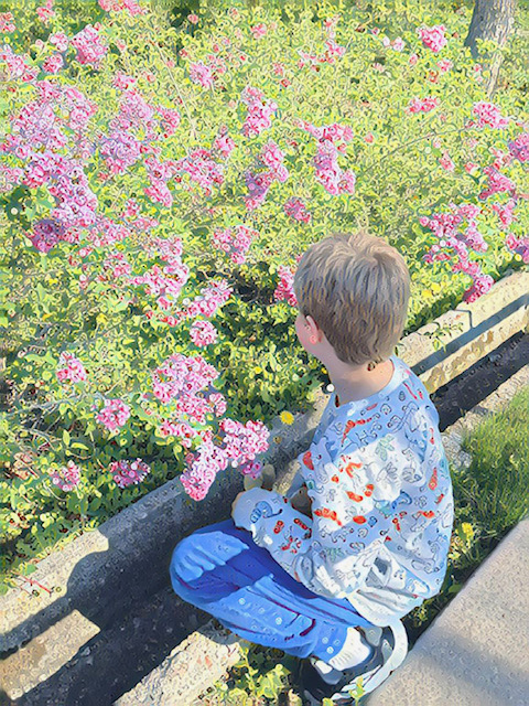 Boy smelling gorgeous lilac bushes. "The Anxious Generation" says kids need more unsupervised free time. 