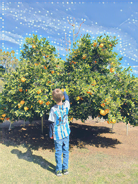 Low screen and screen free kids make more memories! Try picking an orange!