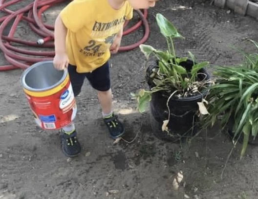 Summer gardening