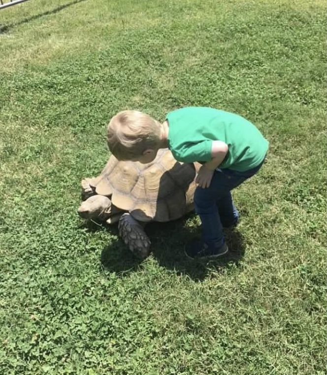 What do kids learn when they play? Benny the tortoise taught how to be caring and respectful of living creatures.