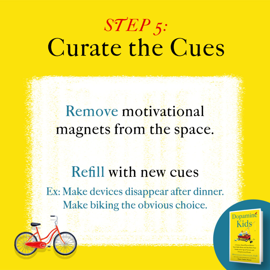 What is dopamine and what triggers a dopamine release, what does dopamine do, everything we know about dopamine is wrong, dopamine vs seratonin 